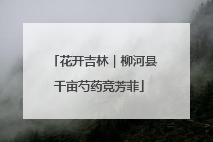 花开吉林｜柳河县千亩芍药竞芳菲