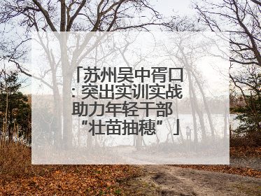 苏州吴中胥口：突出实训实战 助力年轻干部“壮苗抽穗”
