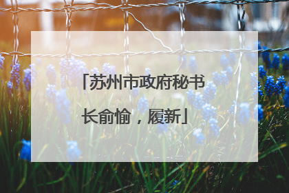 苏州市政府秘书长俞愉,履新