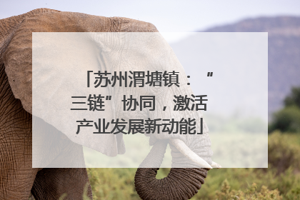苏州渭塘镇：“三链”协同，激活产业发展新动能