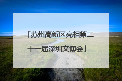苏州高新区亮相第二十一届深圳文博会