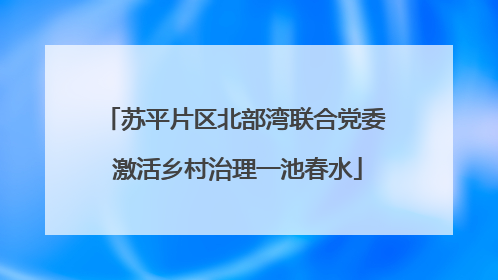 苏平片区北部湾联合党委 激活乡村治理一池春水
