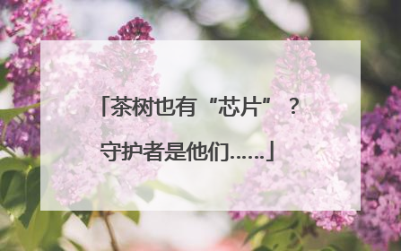 茶树也有“芯片”？守护者是他们……