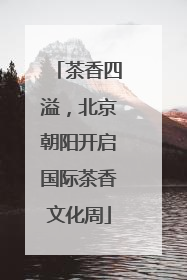 茶香四溢，北京朝阳开启国际茶香文化周