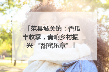 范县城关镇：香瓜丰收季，奏响乡村振兴 “甜蜜乐章”