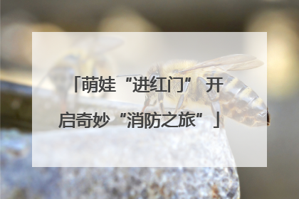 萌娃“进红门” 开启奇妙“消防之旅”