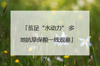 蓄足“水动力” 多地抗旱保粮一线观察