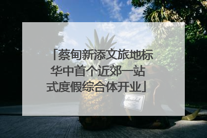 蔡甸新添文旅地标 华中首个近郊一站式度假综合体开业