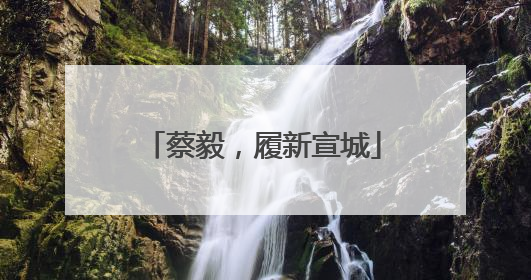 蔡毅，履新宣城