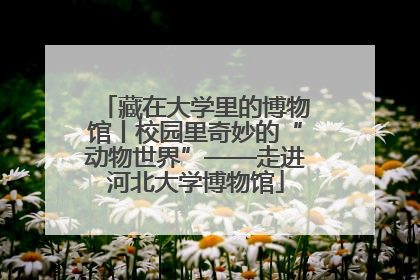 藏在大学里的博物馆丨校园里奇妙的“动物世界”——走进河北大学博物馆