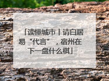 读懂城市丨请白居易“代言”，宿州在下一盘什么棋