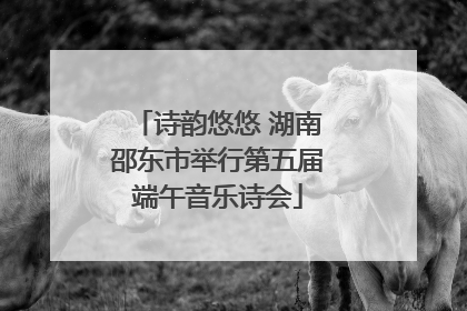 诗韵悠悠 湖南邵东市举行第五届端午音乐诗会