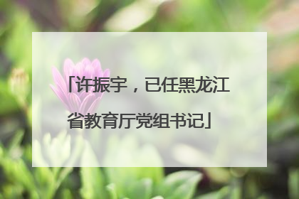 许振宇，已任黑龙江省教育厅党组书记