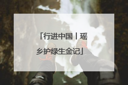 行进中国丨瑶乡护绿生金记