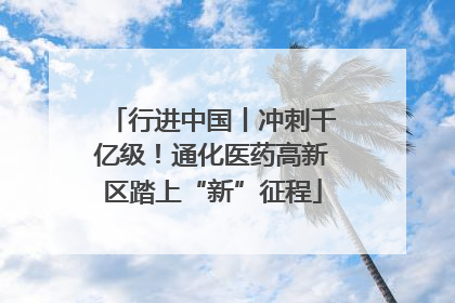 行进中国丨冲刺千亿级！通化医药高新区踏上“新”征程