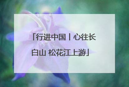 行进中国丨心往长白山 松花江上游