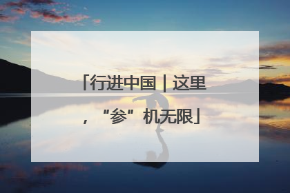 行进中国｜这里，“参”机无限