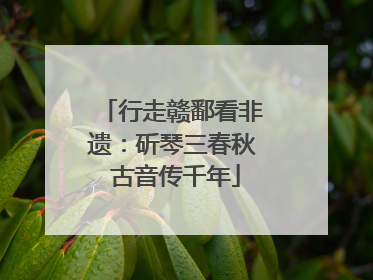 行走赣鄱看非遗：斫琴三春秋 古音传千年