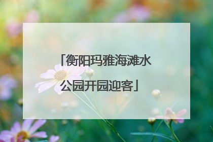 衡阳玛雅海滩水公园开园迎客