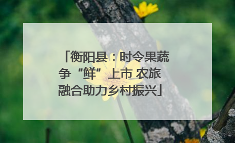 衡阳县：时令果蔬争“鲜”上市 农旅融合助力乡村振兴