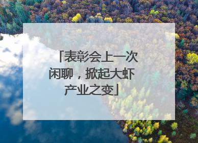 表彰会上一次闲聊，掀起大虾产业之变