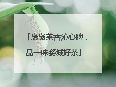 袅袅茶香沁心脾，品一味婺城好茶