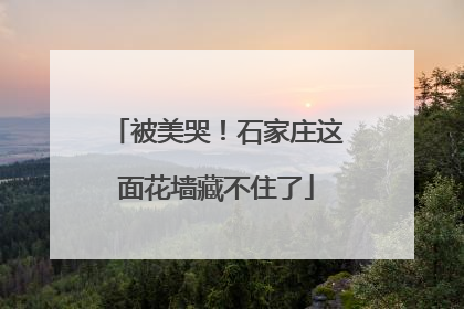 被美哭！石家庄这面花墙藏不住了