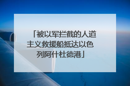 被以军拦截的人道主义救援船抵达以色列阿什杜德港