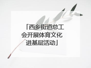 西乡街道总工会开展体育文化进基层活动