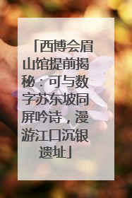 西博会眉山馆提前揭秘：可与数字苏东坡同屏吟诗，漫游江口沉银遗址