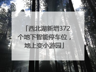 西北湖新增372个地下智能停车位，地上变小游园