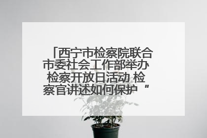 西宁市检察院联合市委社会工作部举办检察开放日活动 检察官讲述如何保护“少年的你”