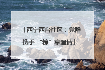 西宁西台社区：党群携手 “粽”享温情