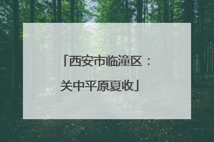 西安市临潼区：关中平原夏收