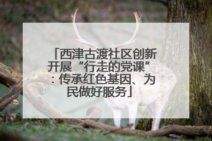 西津古渡社区创新开展“行走的党课”：传承红色基因、为民做好服务