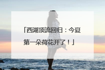西湖顶流回归：今夏第一朵荷花开了！