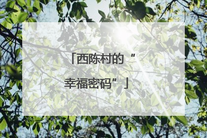 西陈村的“幸福密码”