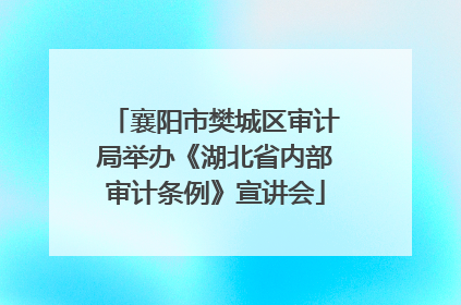 襄阳市樊城区审计局举办《湖北省内部审计条例》宣讲会