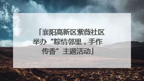 襄阳高新区紫薇社区举办“粽情邻里，手作传香”主题活动