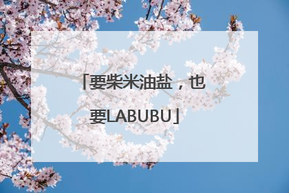 要柴米油盐，也要LABUBU