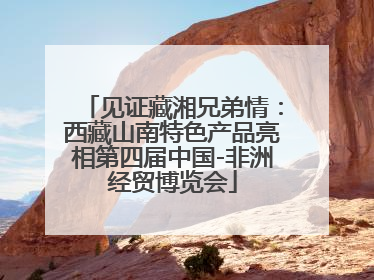 见证藏湘兄弟情：西藏山南特色产品亮相第四届中国-非洲经贸博览会
