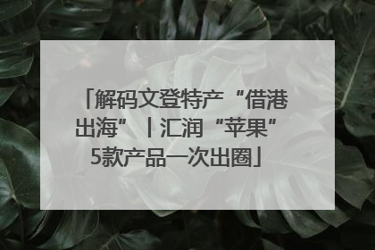 解码文登特产“借港出海”丨汇润“苹果”5款产品一次出圈