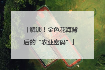 解锁！金色花海背后的“农业密码”
