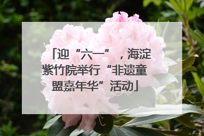 迎“六一”，海淀紫竹院举行“非遗童盟嘉年华”活动