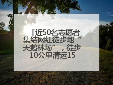 近50名志愿者集结网红徒步地“天鹅林场”，徒步10公里清运150余斤山野垃圾