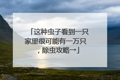 这种虫子看到一只家里很可能有一万只，除虫攻略→