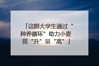 这群大学生通过“种养循环”助力小麦质“升”量“高”