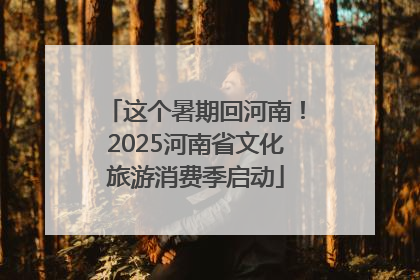 这个暑期回河南！2025河南省文化旅游消费季启动