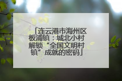 连云港市海州区板浦镇：城北小村解锁“全国文明村镇”成就的密码