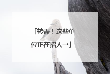 转需！这些单位正在招人→